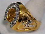G Ranch ring met TCB. (In goud en zilver)